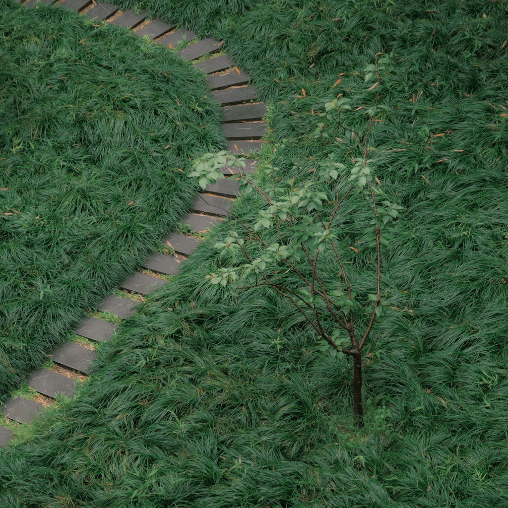 A high-angle view shows a dense, landscaped green slope covered in long, tufted grass or groundcover, with a narrow S-shaped path of dark rectangular stepping stones cutting diagonally from the lower left toward the upper center.