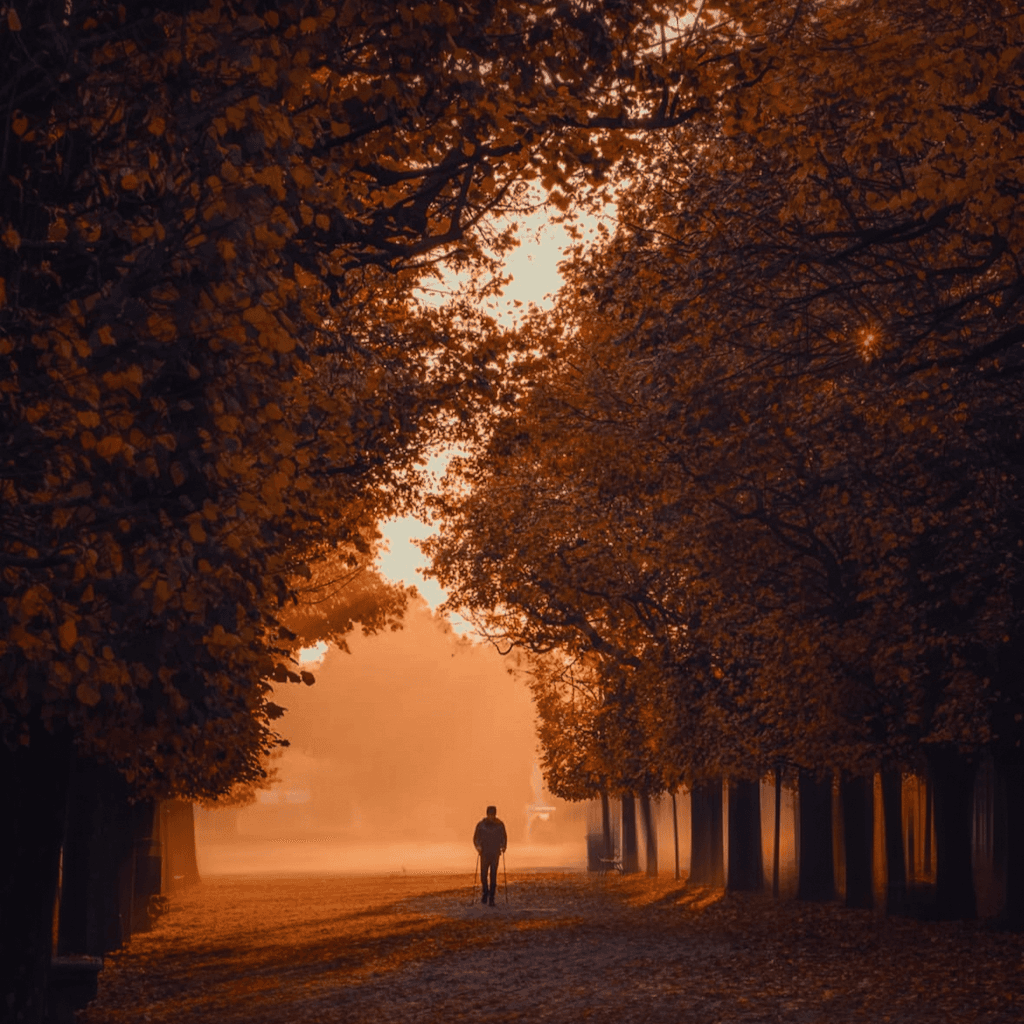 The scene is set outdoors, in a tree-lined pathway enveloped by the golden, warm hues of early evening light.