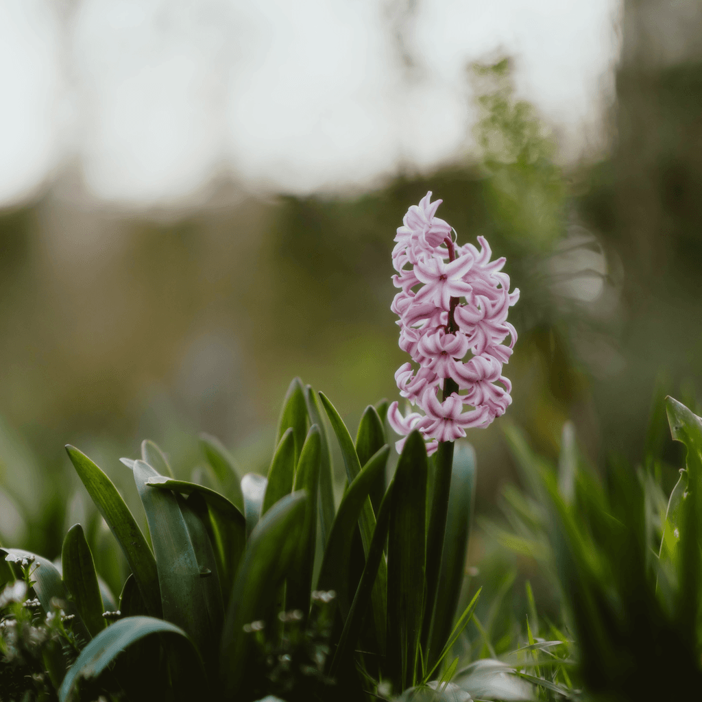 The scene unfolds outdoors amidst a serene garden setting.