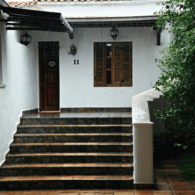 The scene is set outdoors, capturing a tranquil, sunlit courtyard.