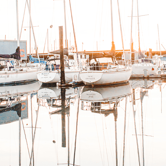 The scene is set in a tranquil marina, bathed in the soft, warm light of early morning.