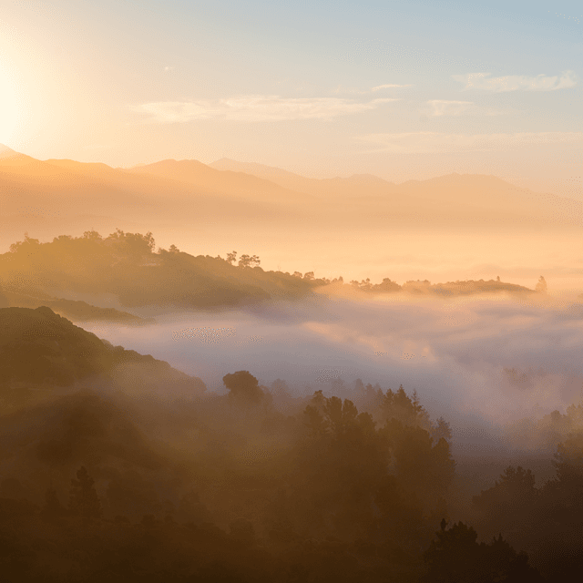The scene is set outdoors during the early morning as the soft glow of dawn bathes the landscape in warm, golden hues.