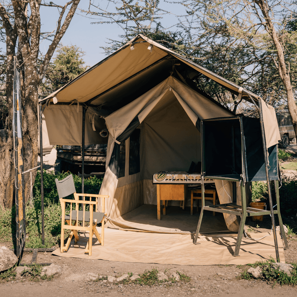 The scene is set outdoors in what seems to be a campsite, bathed in the soft glow of morning sunlight.
