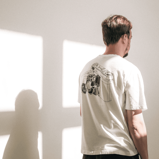 The scene is set indoors, featuring a simple, minimalist room with white walls that are bathed in the warm, soft glow of natural daylight.