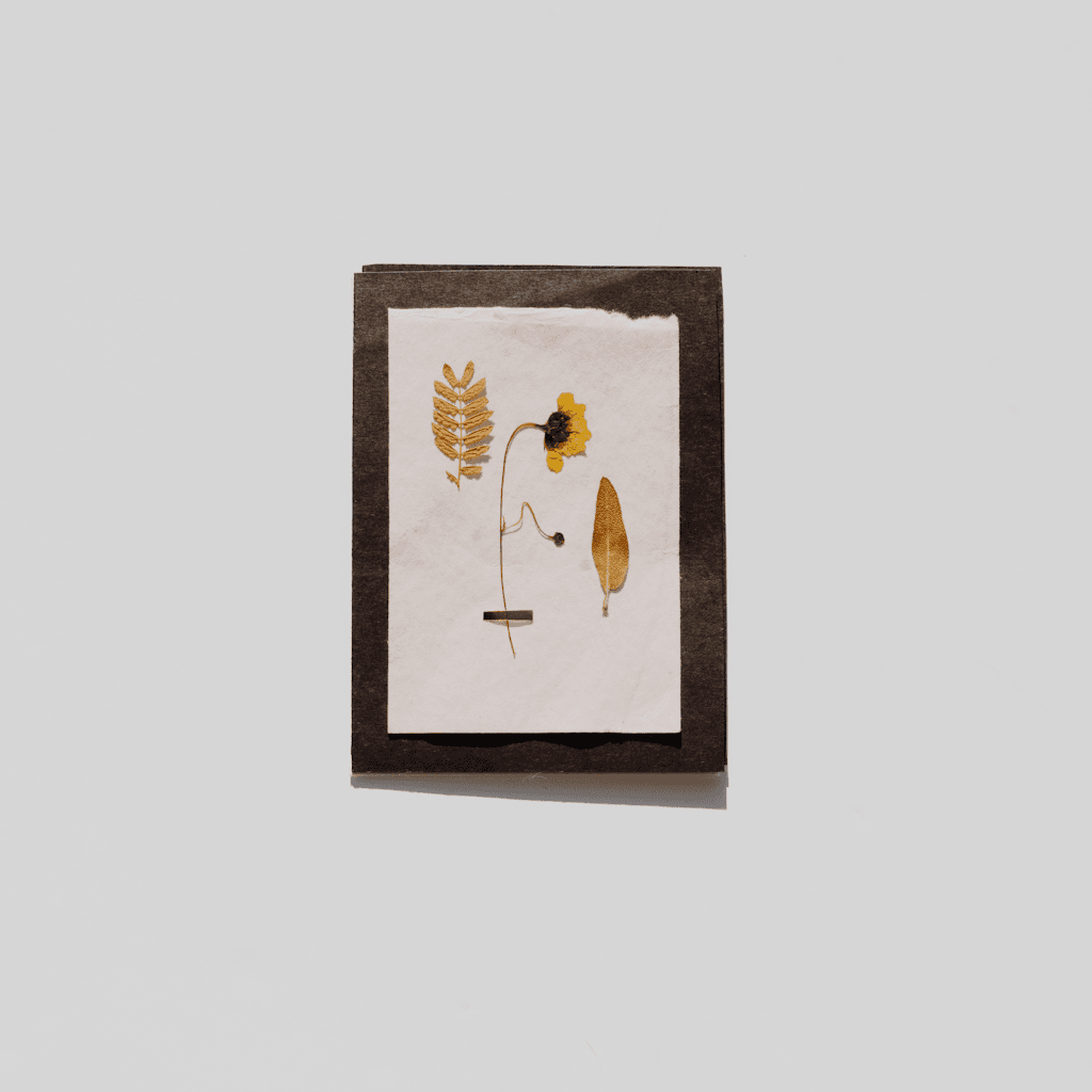 The scene is set indoors, focusing on a minimalistic and artistic presentation.