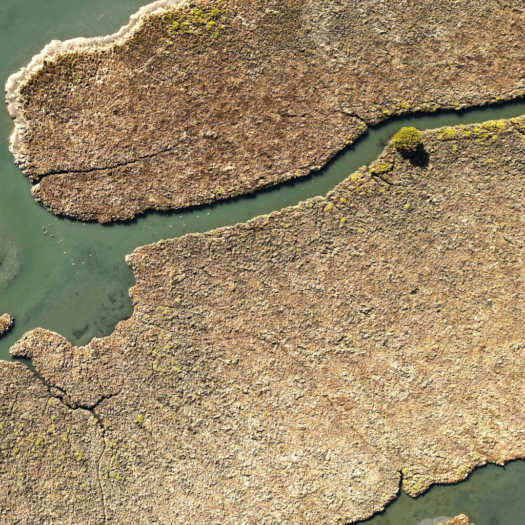 A high, straight-down aerial view shows a broad wetland or river delta made of dense brown reed beds and shallow greenish water channels winding between irregular landmasses.