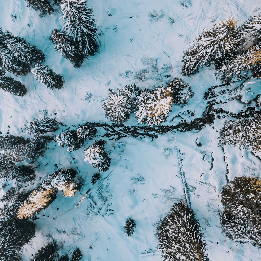 The scene presents an outdoor winter landscape viewed from above.
