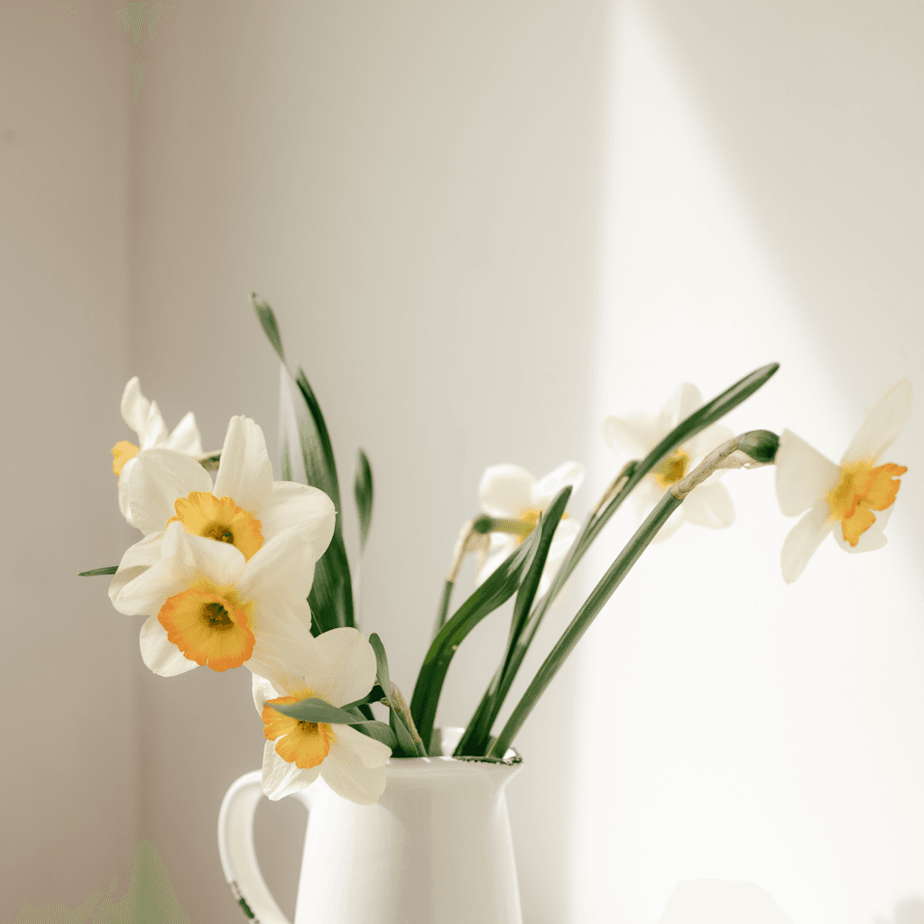 The setting is indoors, likely in a cozy, sunlit room.