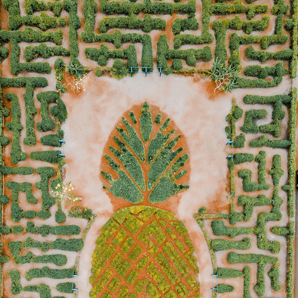 The scene is an aerial view of an outdoor garden, featuring a meticulously designed maze and a large central shape resembling a pineapple.