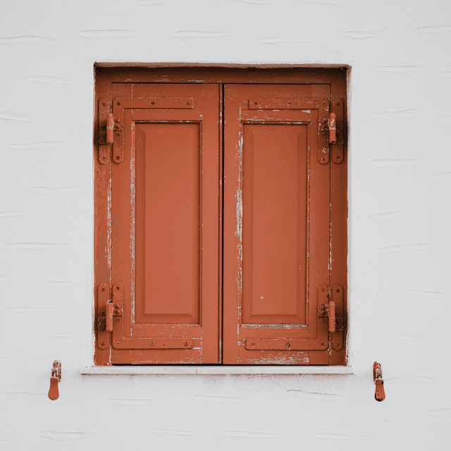 The scene is set outdoors during the day, with soft, even lighting suggesting cloudy or overcast conditions.