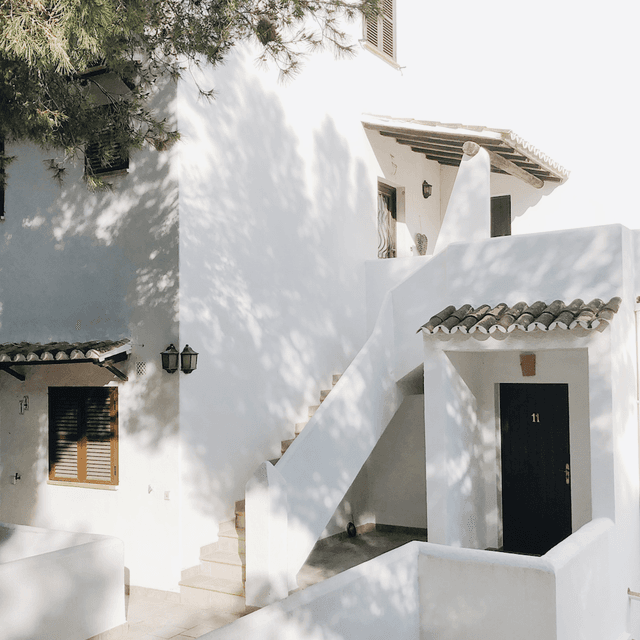 The scene is set outdoors, capturing a tranquil, sunlit courtyard.