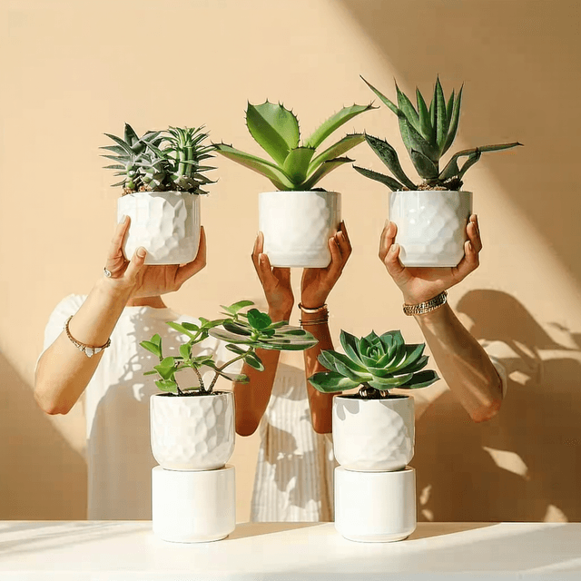 The scene is set indoors against a smooth, neutral beige background.