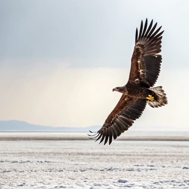 The scene is set outdoors in a vast open sky, depicted at an indeterminate time of day due to the bright and even lighting that gives the sky a stark, featureless white.