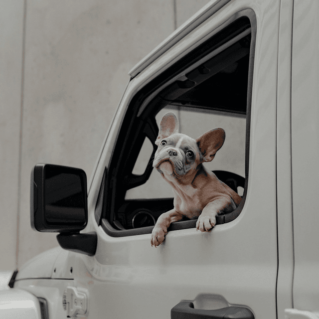 The scene takes place outdoors, likely beside a concrete building with smooth-textured walls, indicated by the neutral, urban backdrop.