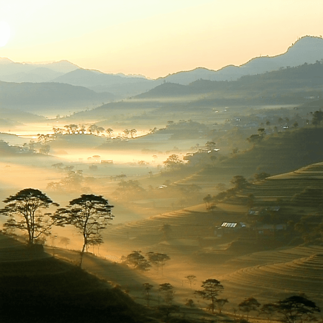 The scene is set outdoors during the early morning as the soft glow of dawn bathes the landscape in warm, golden hues.