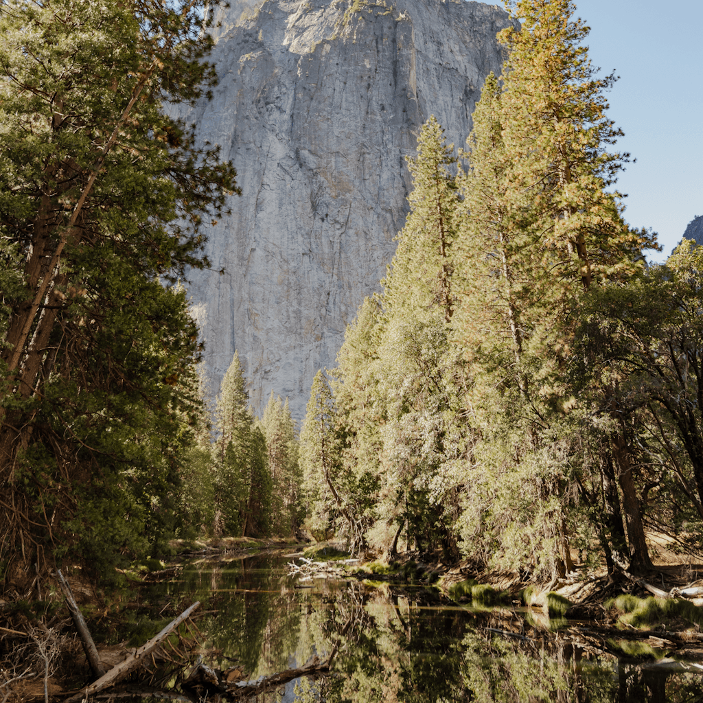 The scene is set outdoors in what appears to be a serene, natural landscape.